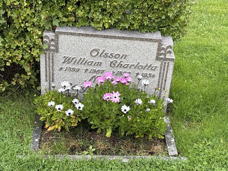 Grave number: IN 11   442