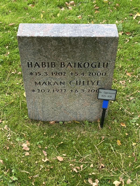 Hautatunnus: 2 C   825-826