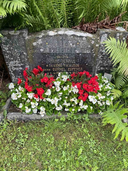 Gravnummer: N 4 4   524