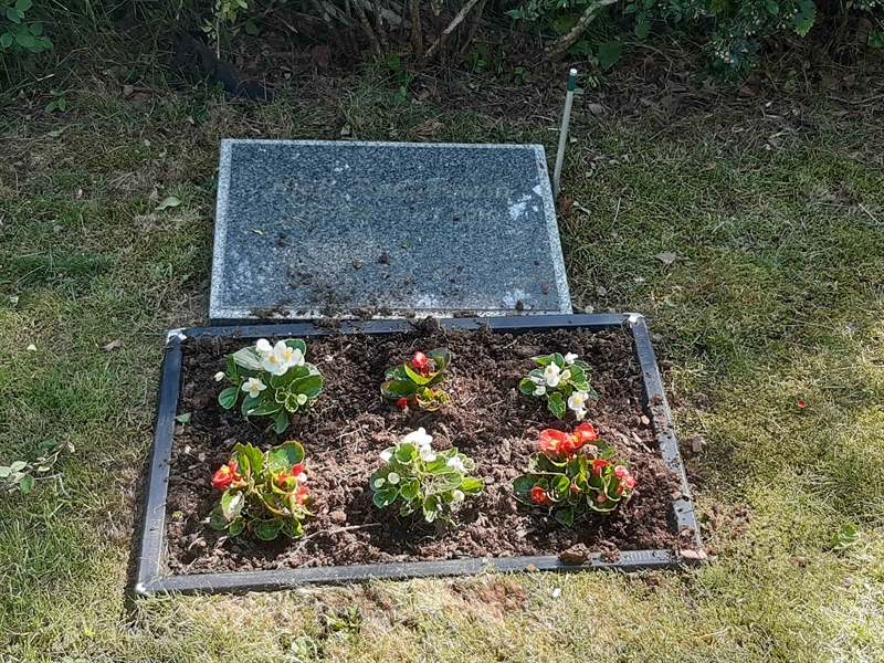 Grave number: VI 03   776