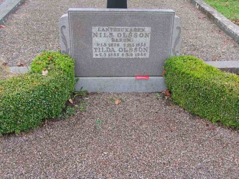 Grave number: 3 B    80, 81