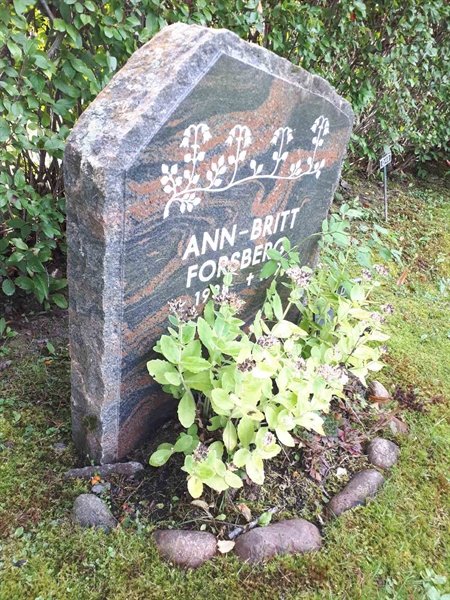 Gravnummer: NK F D    49