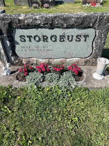 Hautatunnus: N 5 2   184