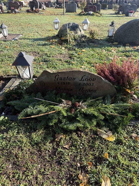 Hautatunnus: VV 1   375