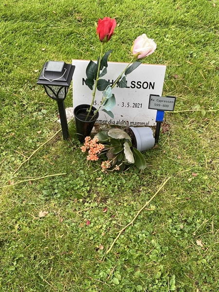 Hautatunnus: 2 C   599-600