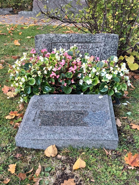 Grave number: NO 20   285