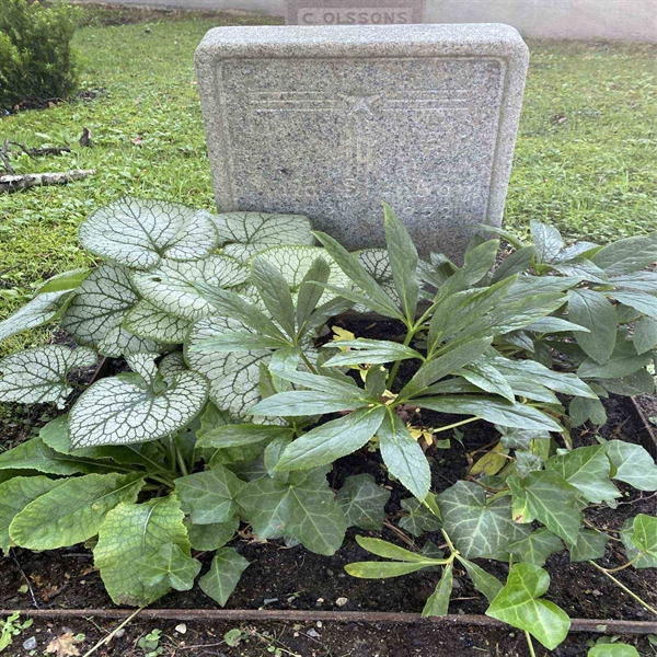 Grave number: 1 NU    69