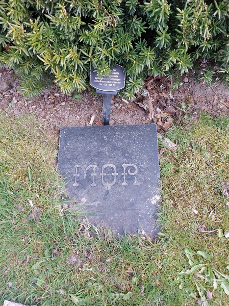 Gravnummer: HÖ 9 80