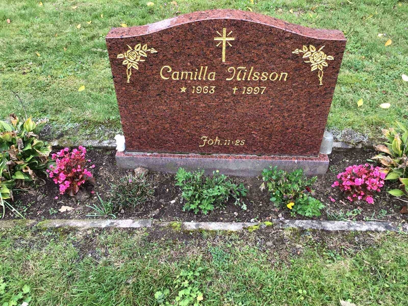 Grave number: 20 N   271-272