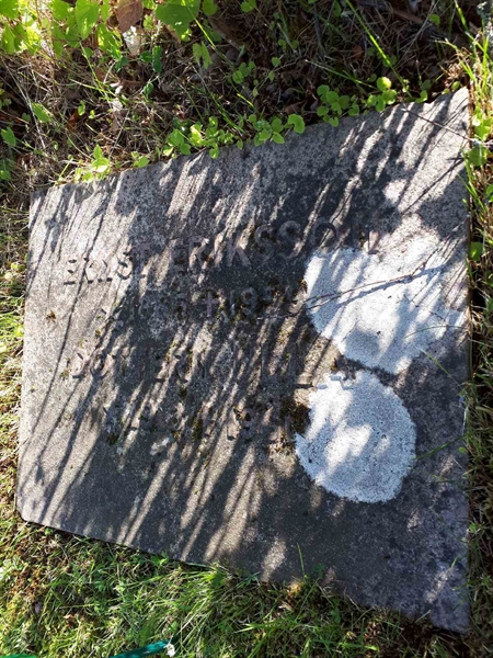 Gravnummer: GK F 5   463