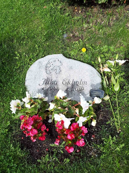 Gravnummer: NK F D   386