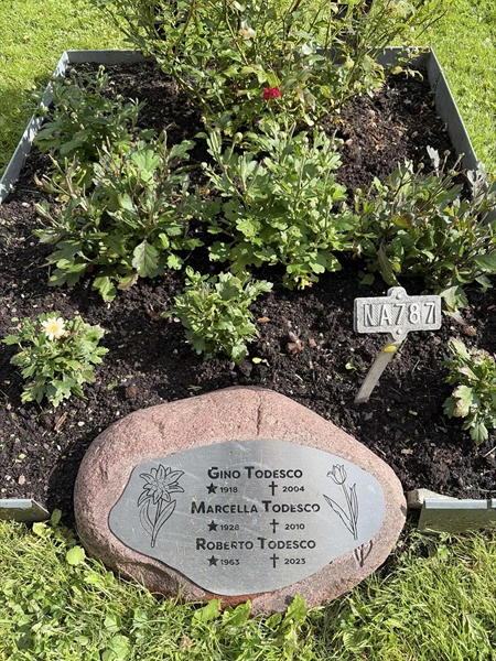 Grave number: 1 NA   787