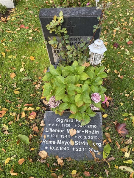 Hautatunnus: 1 H   249