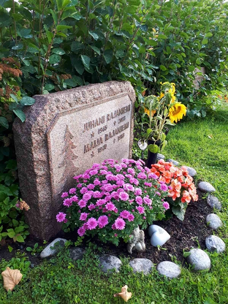 Hautatunnus: NK F C    11-12