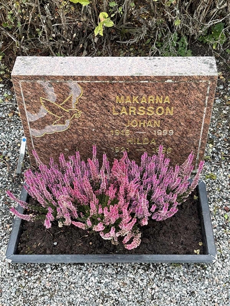 Grave number: 4 N ND   272