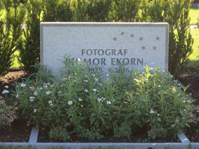 Grave number: HÖB 54     4