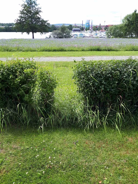 Gravnummer: GK F 5   546