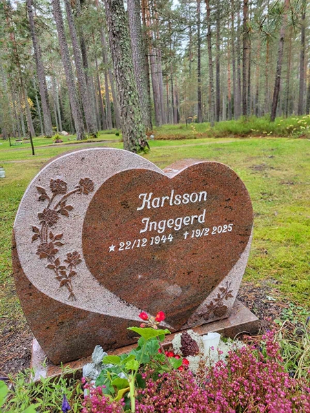 Gravnummer: H HD    92-93