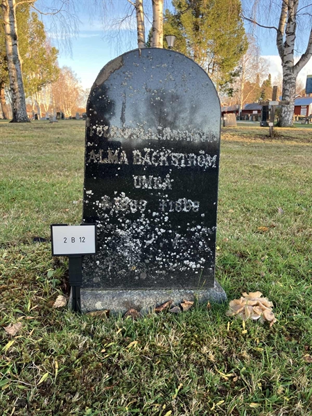 Hautatunnus: 2 B    12