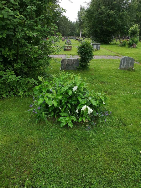 Hautatunnus: NK 11    45