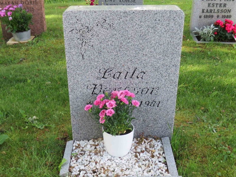 Grave number: 01 Y   367