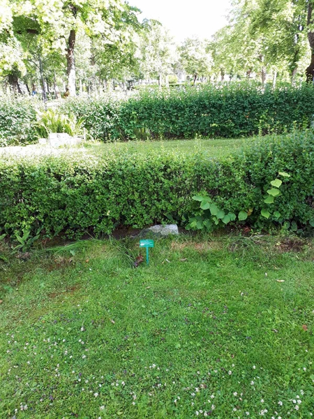 Gravnummer: GK F 5   422