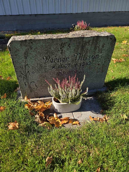 Grave number: T A B   532