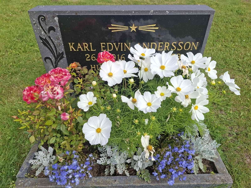 Grave number: 001 3  2172