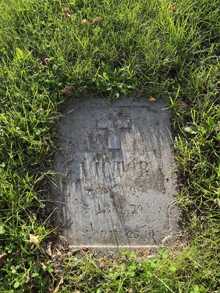 Grave number: 6     6