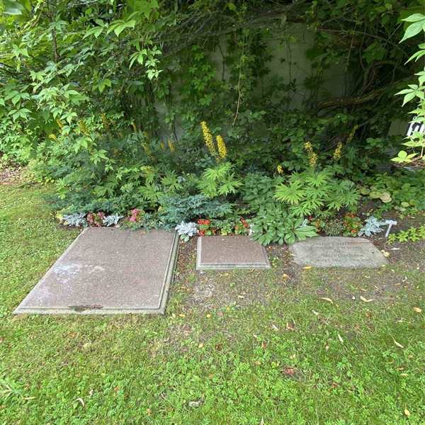 Hautatunnus: 1 NB    51