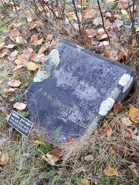 Gravnummer: GK F 3   173