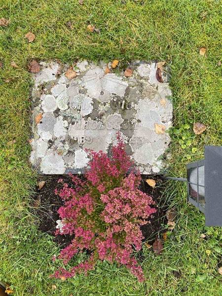 Hautatunnus: 1 24    228