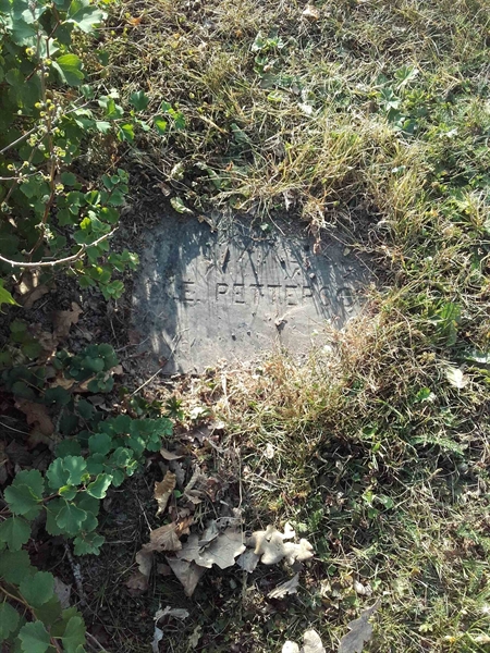 Grave number: NO 06     4