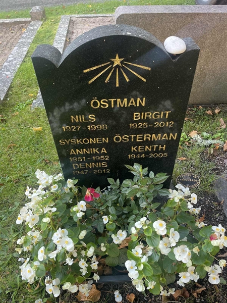 Gravnummer: HVRÖ II Bv     9A