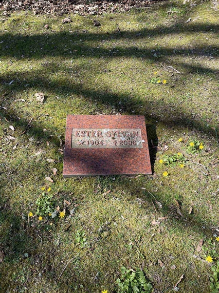 Grave number: Ä N J     3