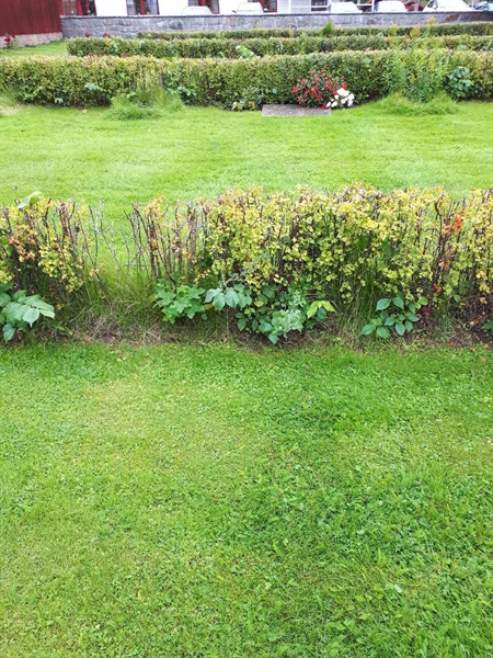 Gravnummer: NK F G   156