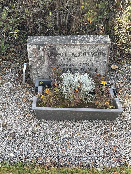 Grave number: 4 N ND   217