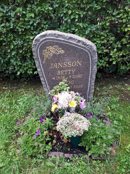 Hautatunnus: NK F D   278