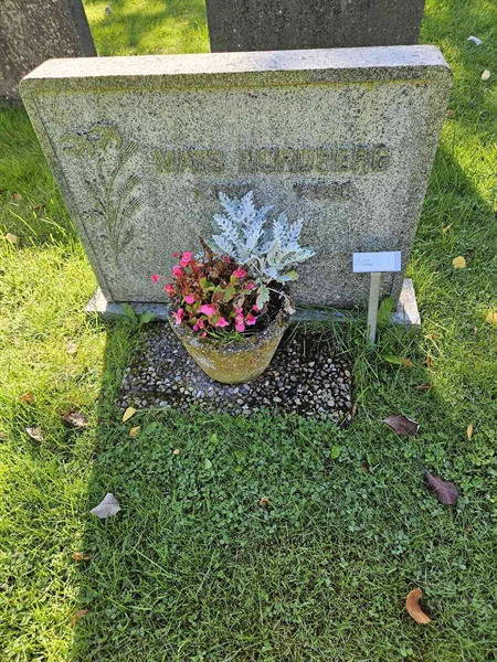 Grave number: Fr 7   707
