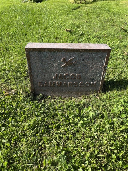 Grave number: 2 06    17c