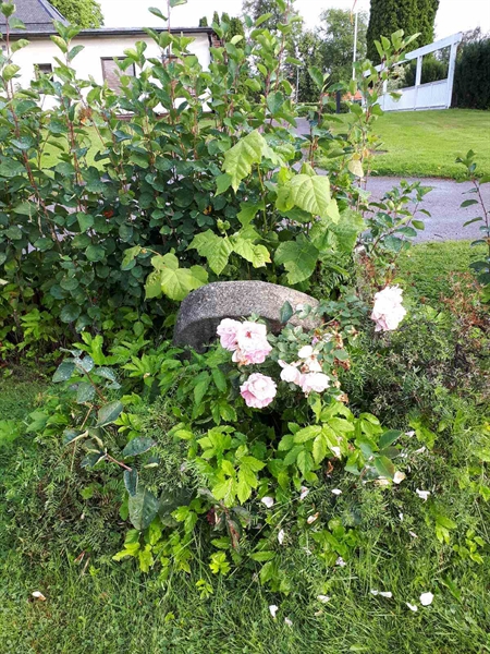 Hautatunnus: NK F C    17-18