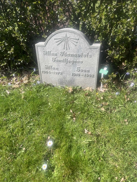Grave number: 1 3 F1 241