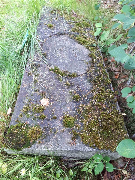 Gravnummer: GK F 5   442