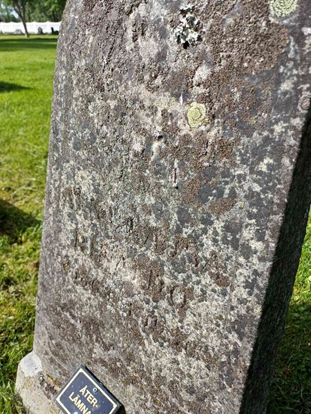 Hautatunnus: RS B 0390