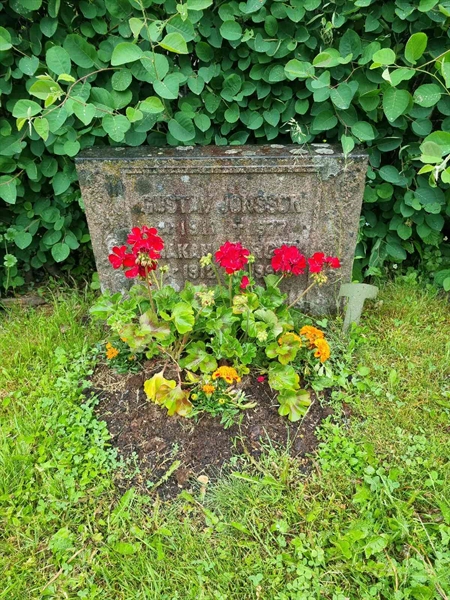 Grave number: 1 29 19