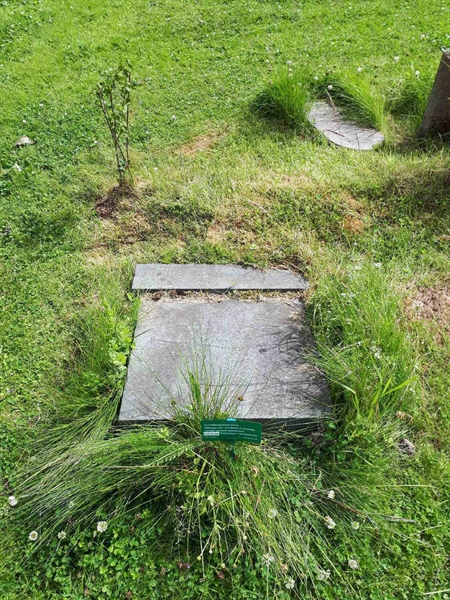 Hautatunnus: GK A 5   209M