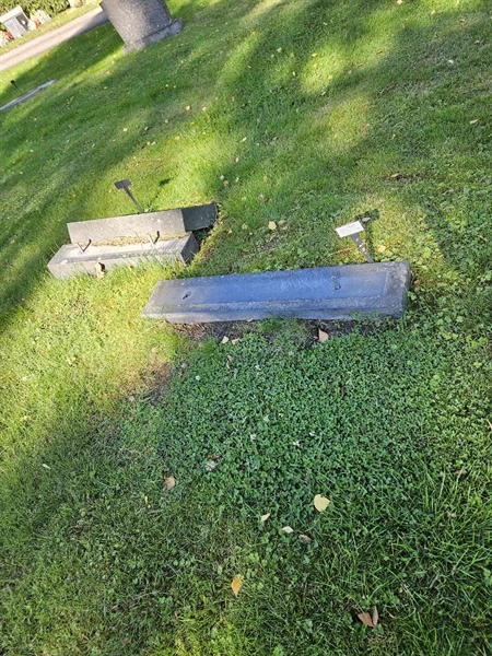 Grave number: Fr 7   246-247
