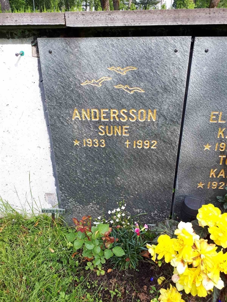 Gravnummer: GK U 4   226