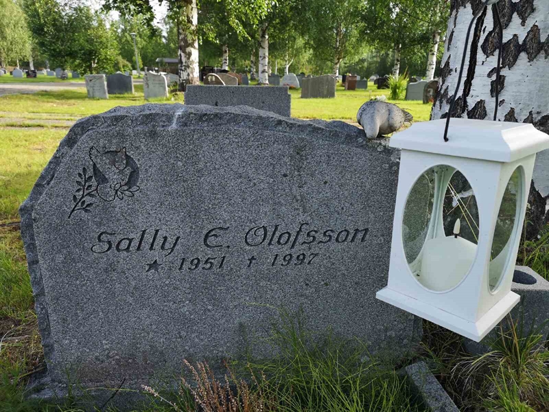 Hautatunnus: NK 17    47