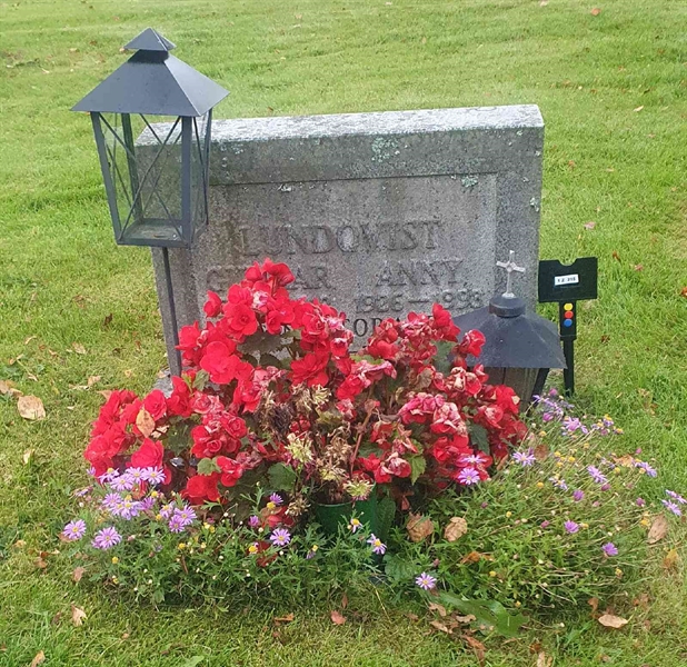 Hautatunnus: 1 Z   215